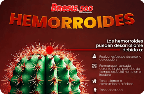 Productos participantes